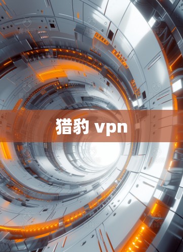 猎豹 vpn
